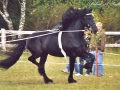 Liekele-6