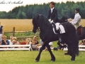Liekele-8