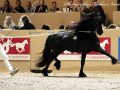 IMG_0148-Loadewyk-431