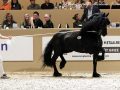 IMG_0161-Loadewyk-431