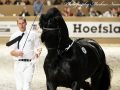 IMG_0176-Loadewyk-431