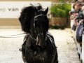 IMG_0243-Loadewyk-431