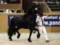 IMG_0728-Loadewyk-431
