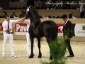 IMG_4628-Loadewyk-431