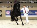 IMG_4658-Loadewyk-431
