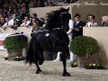 IMG_5210-Loadewyk-431