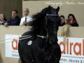 IMG_5214-Loadewyk-431