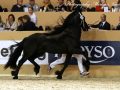 IMG_8457-Loadewyk-431
