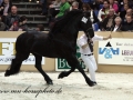 img_0302-loadewyk431