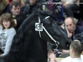 IMG_0542-Lutger-436