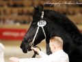 IMG_0004-Maeije-440