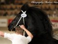IMG_0019-Maeije-440