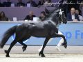 IMG_3331-Manno-541