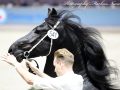 IMG_3413-Manno-541