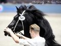 IMG_3415-Manno-541