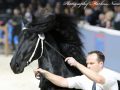 IMG_3564-Mans-543