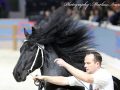 IMG_3565-Mans-543