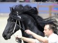 IMG_3567-Mans-543