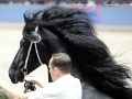 IMG_3570-Mans-543