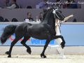 IMG_3592-Mans-543