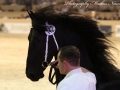 IMG_3117-Matthys504