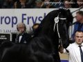 IMG_7447-Matthys-504