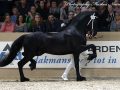 IMG_7463-Matthys-504