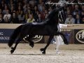 IMG_7489-Matthys-504