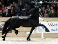 IMG_7492-Matthys-504