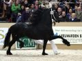 IMG_1465-Maurus-441