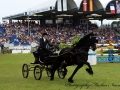 IMG_1790-Maurus-441