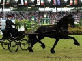 IMG_1794-Maurus-441