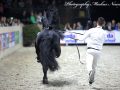 IMG_3678-Maurus-441