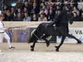 IMG_3688-Maurus-441