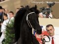 IMG_8393-Maurus-441