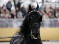 IMG_9547-Maurus-441