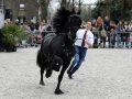 IMG_9584-Maurus-441