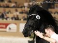 IMG_2378-Mees-497
