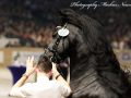 IMG_2381-Mees-497