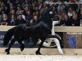 IMG_6750-Mees-497
