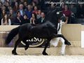 IMG_6753-Mees-497