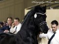 IMG_6785-Mees-497