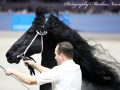 IMG_9833-Meinte-490