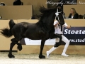 5138816-Menne 496