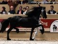 IMG_2272-Menne-496