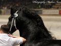 IMG_2287-Menne-496