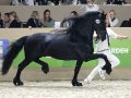IMG_4279-Menne-496