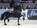 IMG_3423-Menso-542