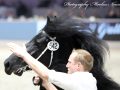 IMG_3473-Menso-542