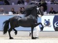 IMG_3491-Menso-42